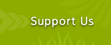 Support Us