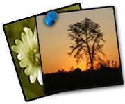 Photogallery